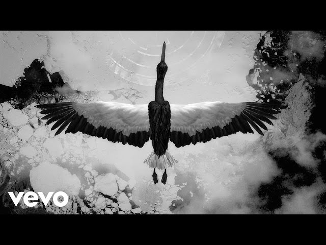 Of Monsters And Men - Slow And Steady (Official Lyric Video)