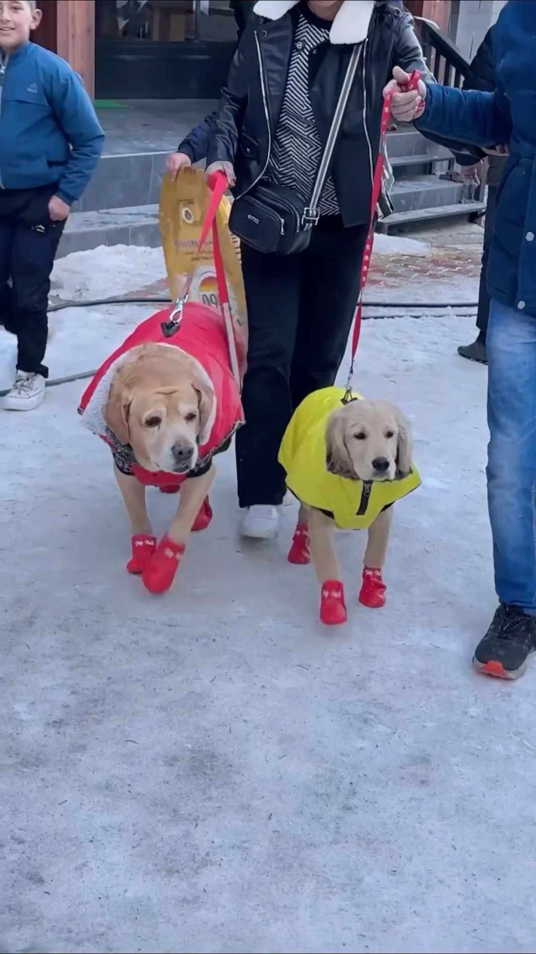 Trekking in snow? #shorts | Anant Rastogi