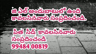 crab seed available please contact me screenshot 4