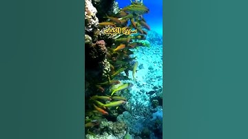 سورة الكهف #الشيخ_عبد_الباسط_عبدالصمد #سورة_الكهف