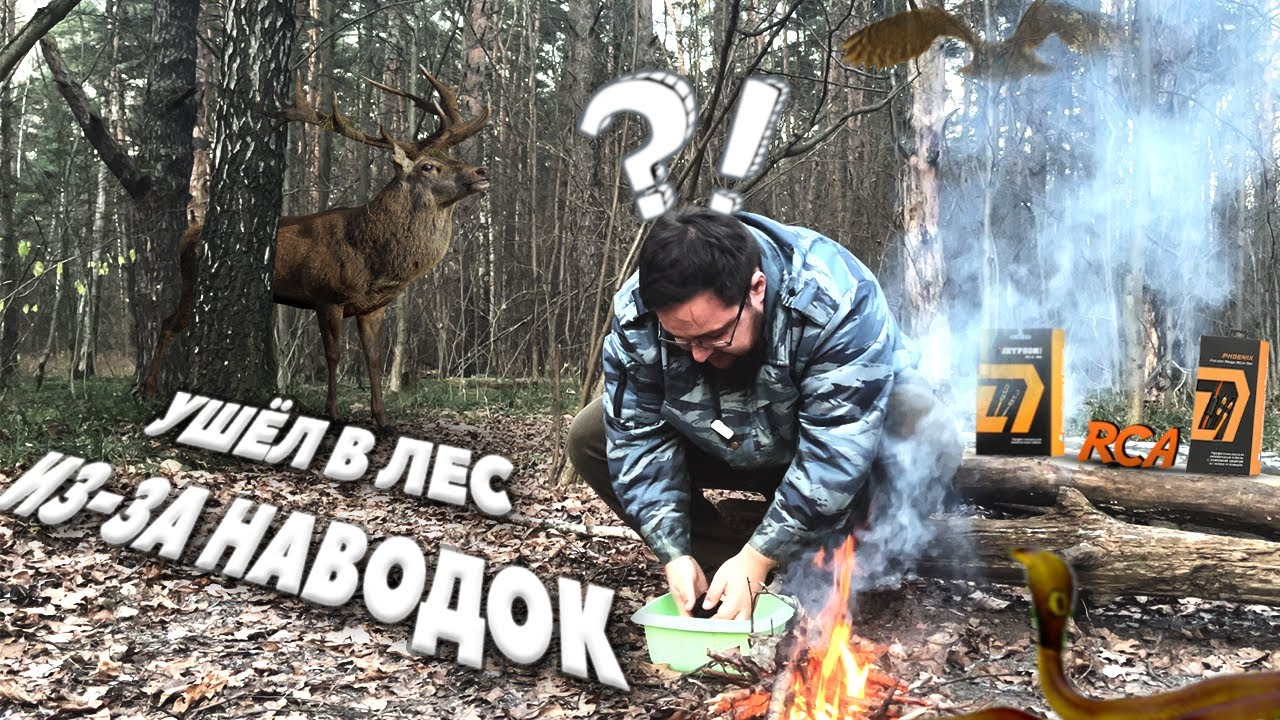 КАК УБРАТЬ НАВОДКИ?! RCA DLAudio Gryphone Pro и Phoenix Ferrite Rings ...