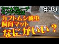 【カブトムシ・クワガタ】国産・外国産カブトムシ成虫飼育用マットは何がイイ？有名ショップさんにおすすめを聞いてみた！「カツ★ガレーヂカブクワ生活#39」