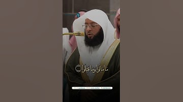 مقتطف من تلاوة فضيلة الشيخ #بدر_التركي من صلاة الفجر 28 ربيع الآخر 1446هـ.