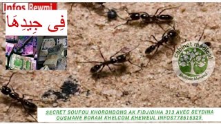 Secret Soufou khorondong Ak fidjidiha 313 Avec Seydina Ousmane Boram Khelcom Kheweul 2 juillet 2023 screenshot 3