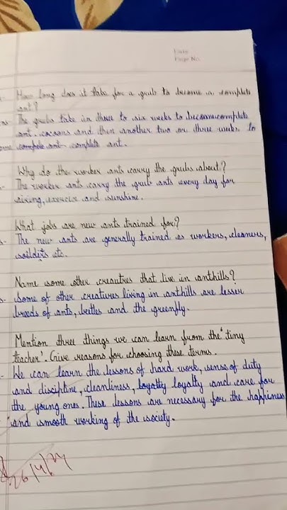 Class 7 English An Alien Hand Chapter 1 The Tiny Teacher Question And class-7-english-an-alien-hand-chapter-1-the-tiny-teacher-question-and