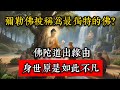 為什麼彌勒佛被稱為最獨特的佛 佛陀道出緣由 身世原是如此不凡 心灵禅语 佛陀 佛學 佛教 禪修 佛法智慧 佛教故事 佛教文化 佛學知識 佛學智慧 為什麼彌勒佛被稱為最獨特的佛 佛陀道出緣由 身世原是如此不凡 心灵禅语 佛陀 佛學 佛教 禪修 佛法智慧 佛教故事 佛教文化 佛學知識 佛學智慧