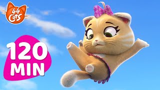 44 Cats Marathon: 120 Minutes of Purr-fect Adventures!