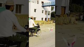 new video kabutar viral video pigeon lover public status  sakib Ansari pas