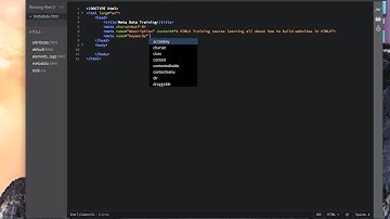HTML5 Training for Beginners - HTML5 metadata