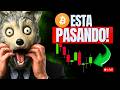 BITCOIN SUBIENDO te comiste el cuento de que se desplomaría? ANALISIS EN VIVO