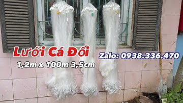 Lưới Cá Đối ( Thả Nổi ) Hàng Thửa Đẹp . Cao 1,2m x 100m 3,5cm | Phao Số 3 | Thả Biển và Nước Ngọt