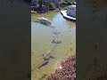 в этом парке можно увидеть все уголки Швейцарии!