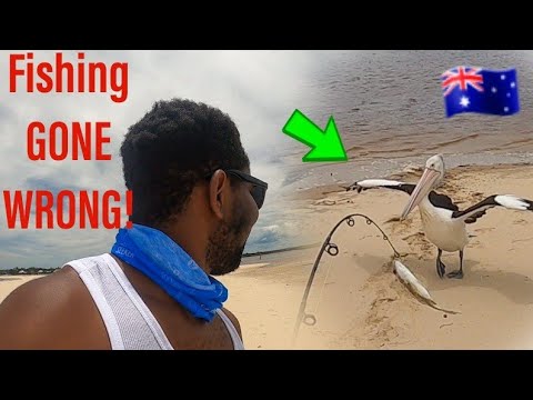 Black Man Fishing In Australia GONE WRONG! Being Chased By Aggressive ...
