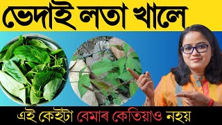 ভেদাই লতাৰ আছে আচৰিত ঔষধি গুণ || কি কি বেমাৰৰ পৰা বাছি থাকিব পাৰি || SKUNK VINE || Ponkhi Sharma by Healthy Life By Ponnkhi Sharrma 167,189 views 3 weeks ago 7 minutes