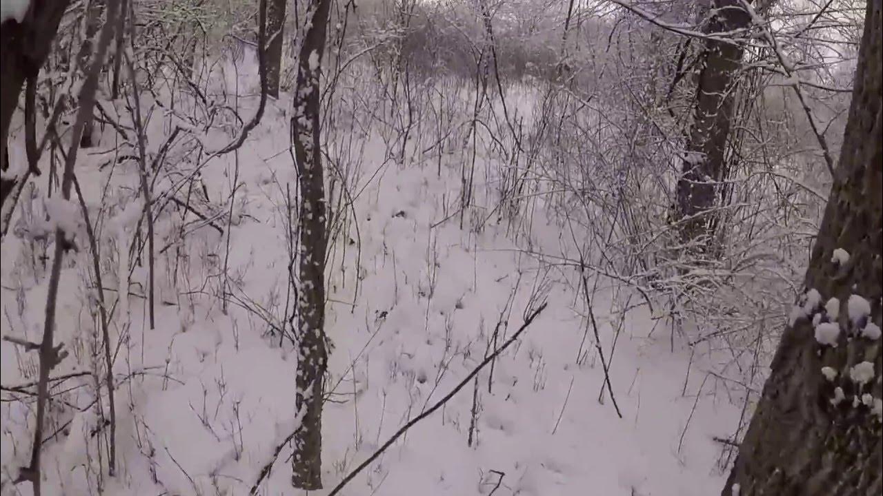 Rabbit hunting ohio 2 withKernalBaxter YouTube