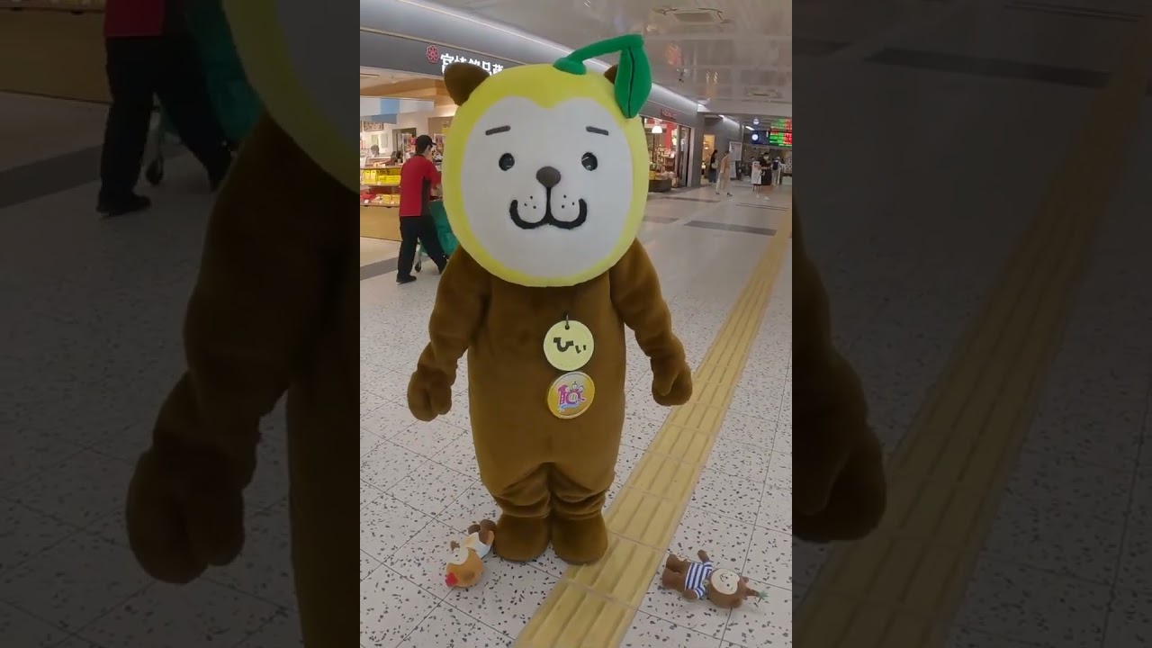 みやざき犬】フリーズひぃくん - YouTube