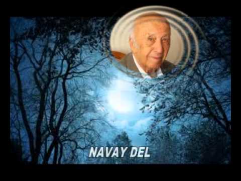 نوای دل شعر از معینی کرمانشاهی خواننده دلکش اهنگ از جواد لشگری