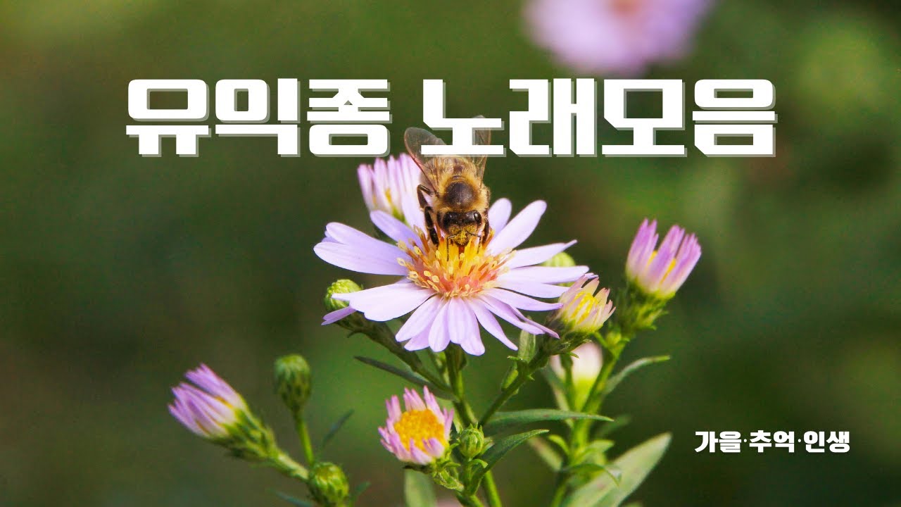 7080추억소환노래 유익종가수 베스트노래모음 