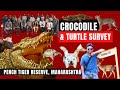 Crocodile  turtle survey 2nd  pench tiger reserve maharashtra  2931 jan 24