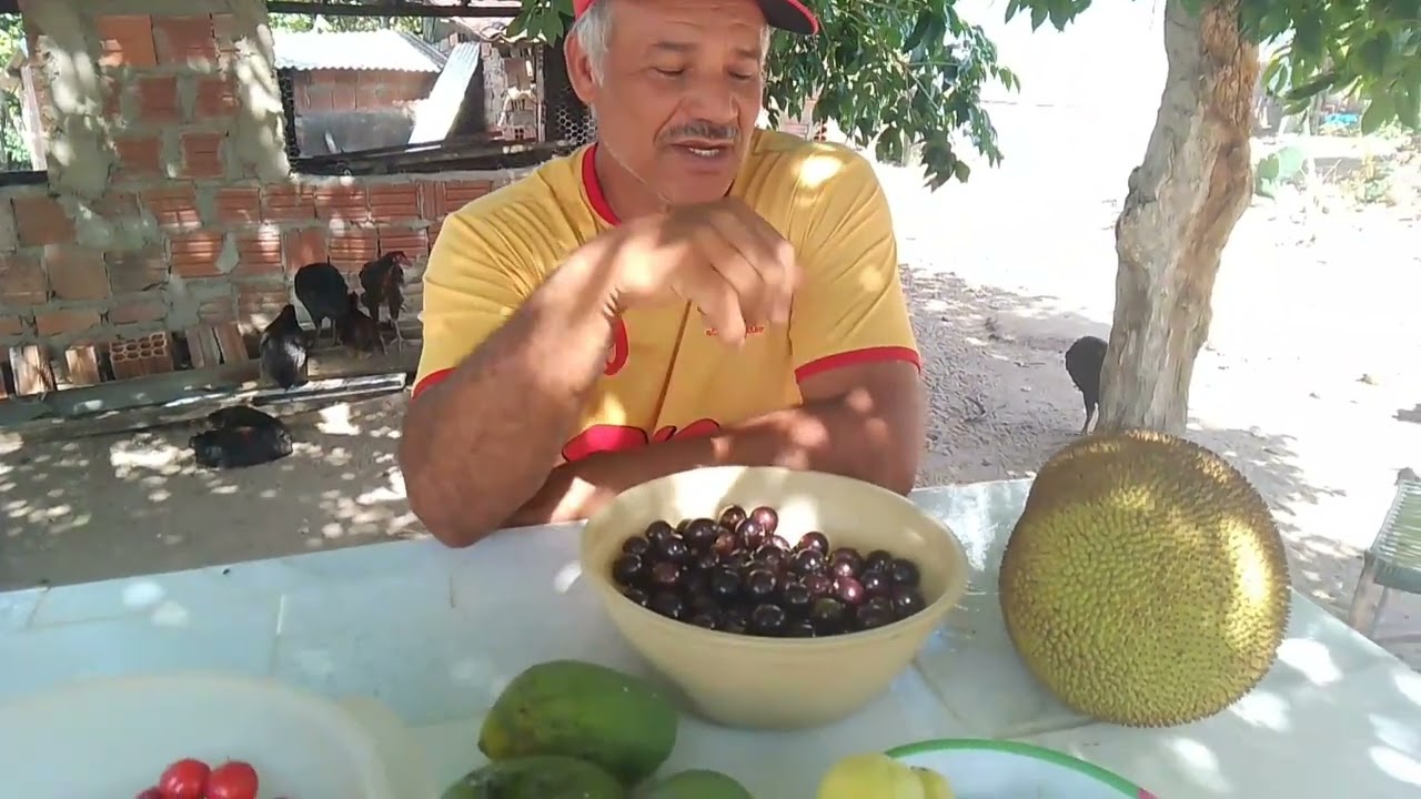 @interiordagente#vidanositio#agro#epoca de jabuticaba!