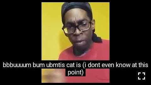 Tetris beatbox meme in fast motion and music