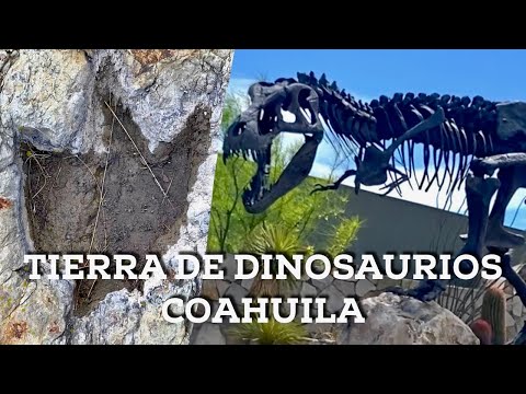 Vídeo: On és el museu de dinosaures més famós del món?