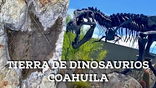 Coahuila, Tierra de Dinosaurios: En búsqueda de huellas y fósiles en el desierto
