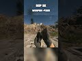 SCP 5K P320 VS MW2019 M19 Reload Comparison #callofduty #shorts #gaming #scp5k