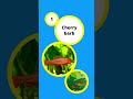 Good Freshwater Fish for Beginners - For Dummies #fish #aquarium #aquariumfish #aquariums