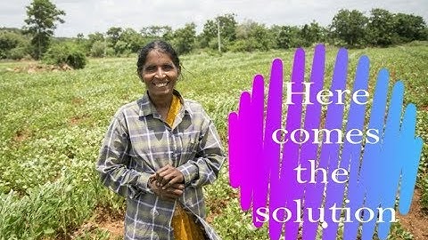 Mock-up prototype demonstration of Agrofetch