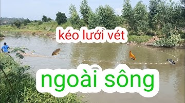 KÉO LƯỚI VÉT HẾT CÁ SÔNG KHÔNG CHO NÓ THOÁT.#CƠMCÀYCÁKIẾM