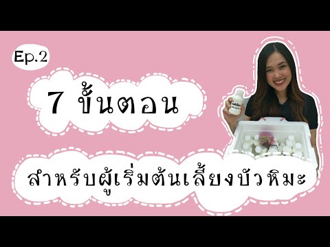 วีดีโอ: สูตรคีเฟอร์พาย