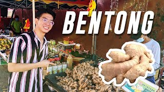 What to do in BENTONG (Malaysia) | TRAVEL | Ginger, Waterfalls, Food