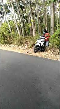 Habis wik wik di hutan