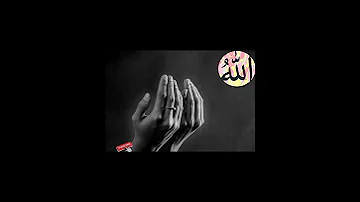 ورحت أدق بابك نصر الدين طوبار ابتهالات 