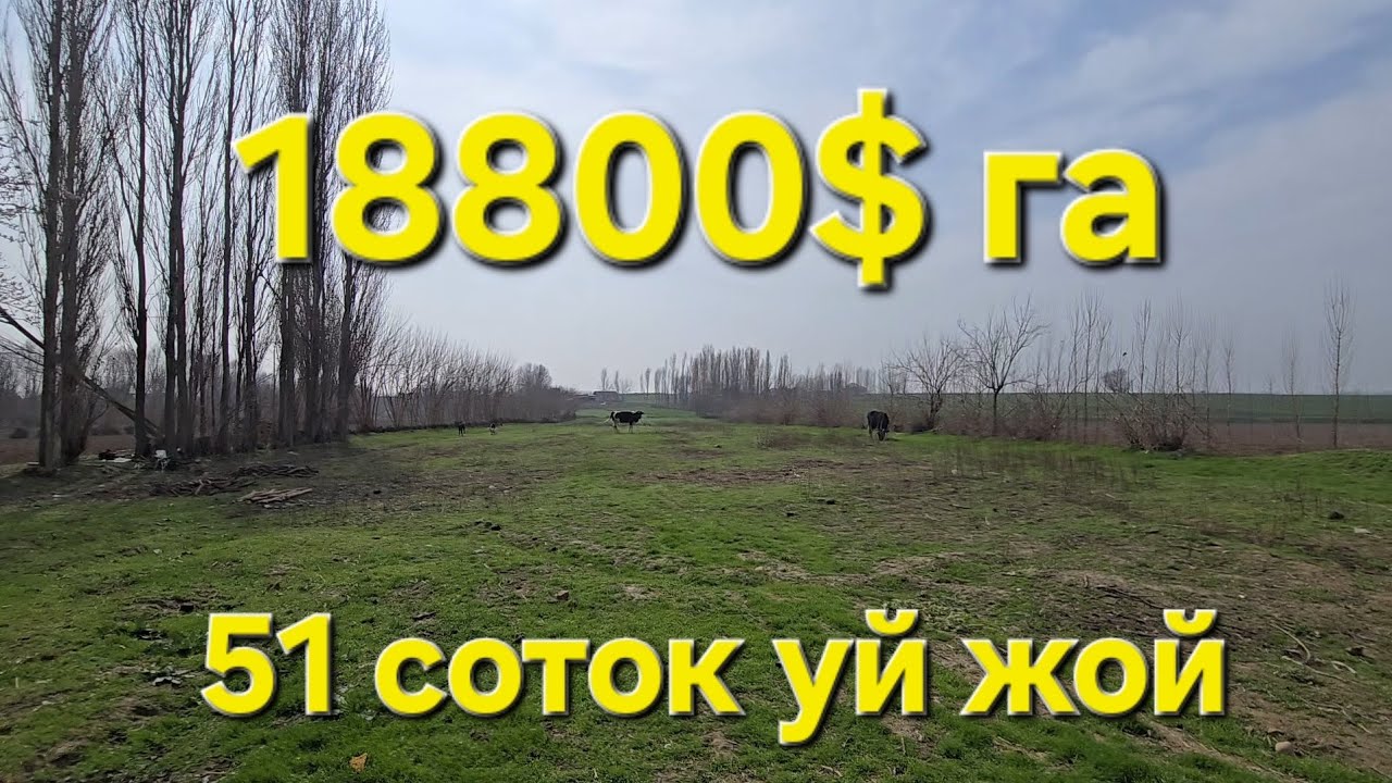 СУППЕР АРЗОН ЖОЙ