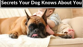 What Are 13 Revealing Secrets Your Dog Knows About You? by Adventurezoo 242 views 1 month ago 3 minutes, 2 seconds