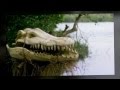 Stelvio Cipriani Alligator Terror From The Great Alligator 1979 