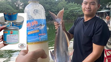 Tess cháo Dừa Hồ Thiên Nhiên Xanh