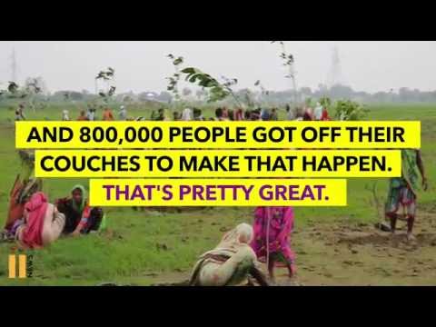 India Plants 50 Million Trees in One Day, Smashing World Record