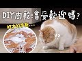 【黃阿瑪的後宮生活】DIY肉乾！會受歡迎嗎？