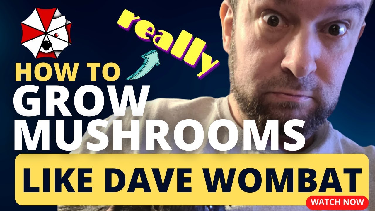 How To Really Grow Mushrooms like Dave Wombat  🍄 ✨ The mycoGeeky Podcast