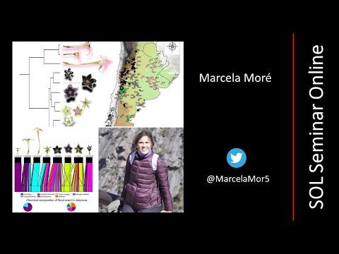 Marcela Moré - Corolla color and floral scent evolution in the florally diverse genus Jaborosa