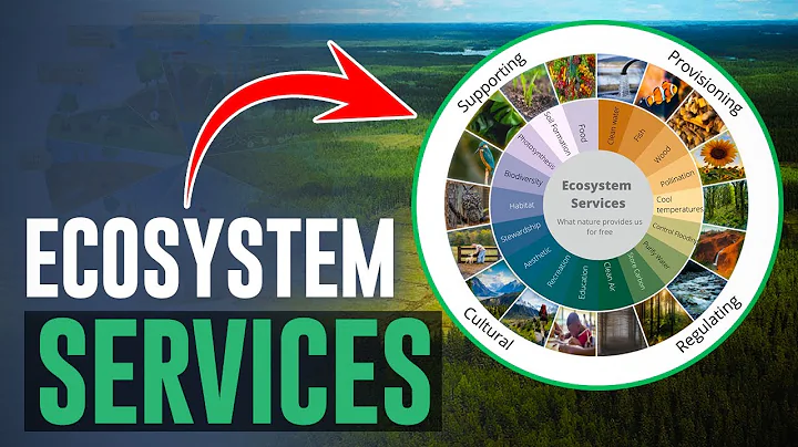 What are Ecosystem Services?