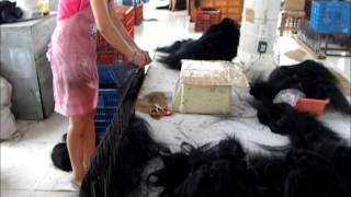 Hair factory in china -