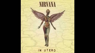 vinyl Rip Nirvana  Serve The Servants