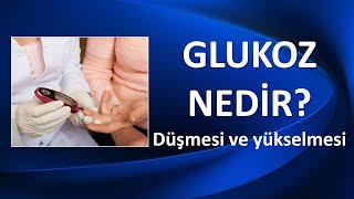 GLUKOZ NEDİR? Düşmesi ve Yükselmesi Ne Anlama Gelir?