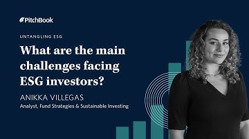 What are the Key Challenges Faced by ESG Investors?