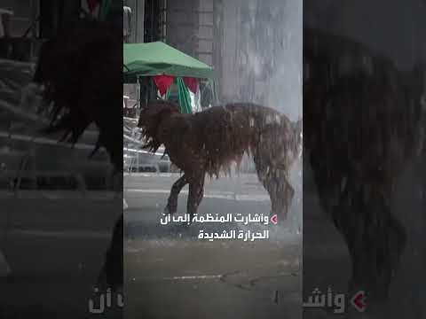 الأمم المتحدة تحذر من موجات حرارة قادمة إلى أوروبا