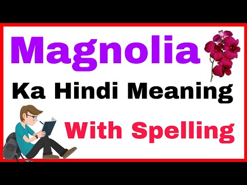 मैगनोलिया अर्थ | मैगनोलिया का matlab | मैगनोलिया का हिंदी | मैगनोलिया का अर्थ